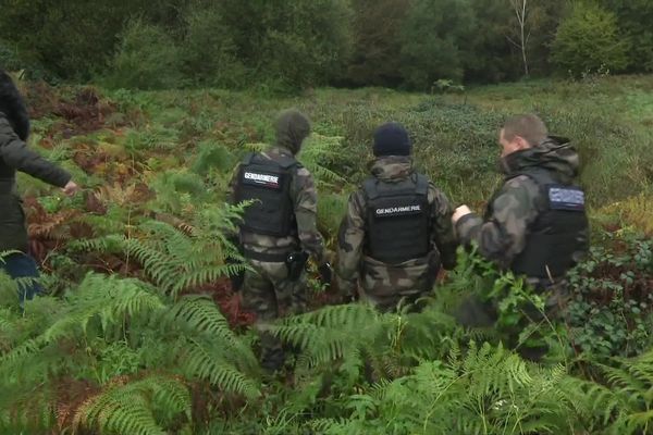 Ce jeudi 26 octobre s'est tenue une battue, sous la pluie, à la recherche du moindre indice.