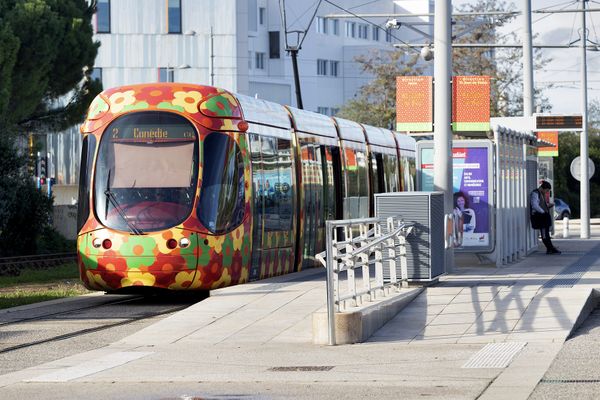 Le trafic de la ligne 2 du tramway de Montpellier a été partiellement interrompue ce jeudi 12 septembre.