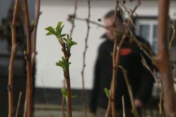 Un mois de février déjà printanier dans le Nord Pas-de-Calais.