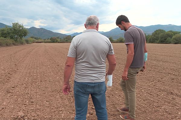 Une terre désespérément sèche, en Casinca comme ailleurs en Haute-Corse