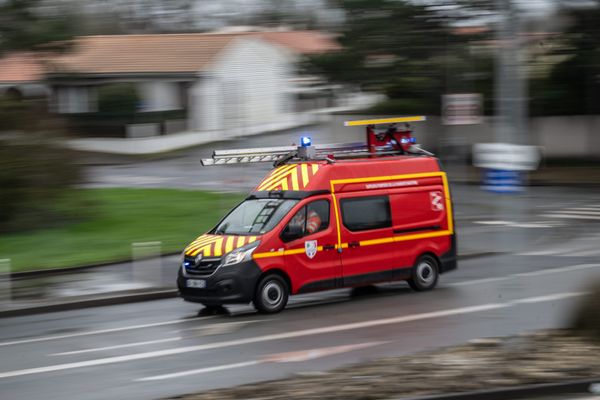 Trois chevaux tués dans un accident de la route, ce samedi 17 février 2024, sur la RD 513 à Bavent, dans le Calvados. (photo d'illustration)