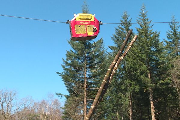 La "tyrolienne" pour arbres utilisée à Anost, en Saône-et-Loire, le 19 avril 2023.