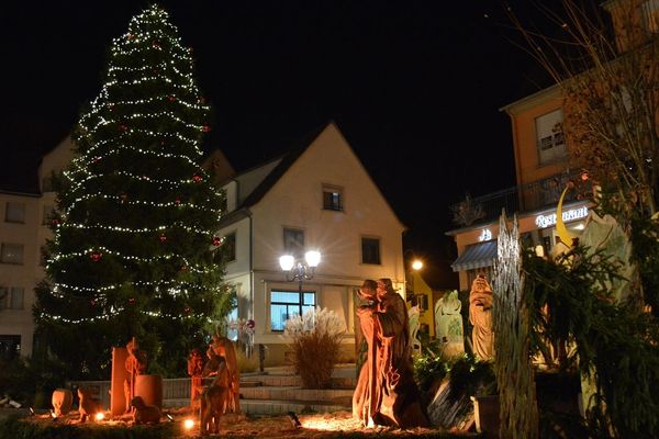 Chaque année, Niederbronn-les-Bains trouve aisément son sapin de Noël. Mais en 2019... ça coince.