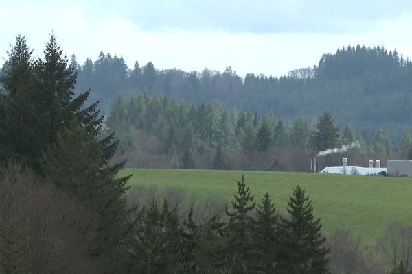 95% des forêts de la région appartiennent à des propriétaires privés.