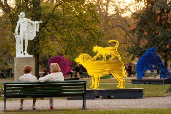 Les animaux ont envahi le jardin des plantes