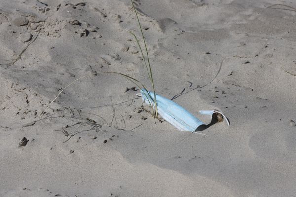 Un masque dans le sable. 