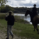 Alors que le cerf s'était réfugié dans l'étang des Bois, à Vieilles-Maisons-sur-Joudry, en forêt d'Orléans, la chasse à courre a continué. Une pratique ne respectant pas la loi, comme le dénoncent les militants d'AVA France, venus documenter la scène. Capture d'écran des vidéos d'AVA France.