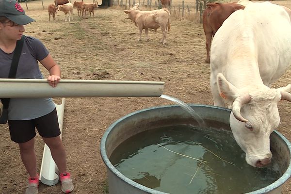 Louise, une des deux filles de l'agriculture, est ravie que l'appel à l'aide est fonctionné.