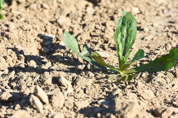 Mesures de restriction d'eau en Haute-Vienne