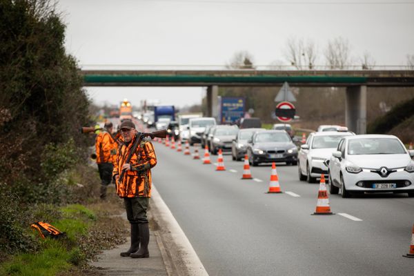 Des chasseurs lors d'une battue administrative organisée à Poitiers, à l'entrée de la zone commerciale pour déloger des sangliers, mardi 22 février 2022.