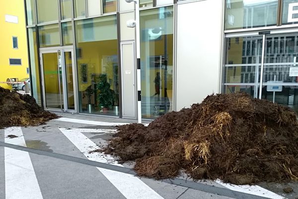 Ce jeudi matin, les tas de fumier déposés cette nuit étaient encore devant les portes de la DDT de la Loire.