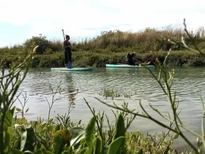 Jordane Didier de Sup Evasion, lors d'une randonnée en paddle dans les marais poitevins