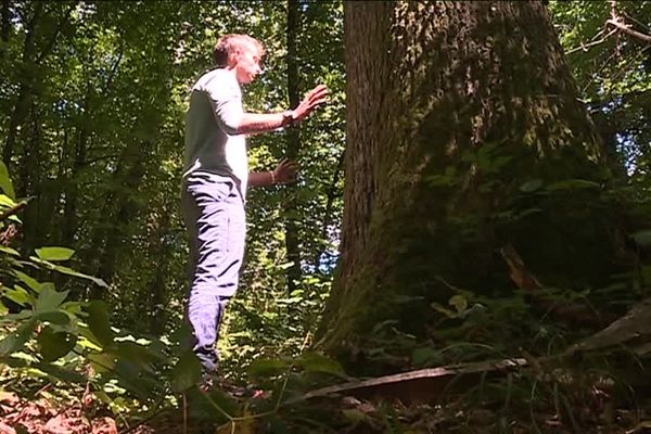 Jérémy Maillet est naturopathe et sylvothérapeute à Aiglemont dans les Ardennes