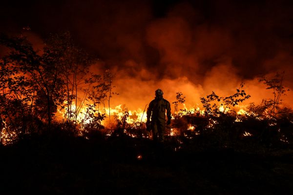 Feu tactique : l'une des manœuvres réalisées par les pompiers pour enrayer l'immense incendie en cours dans le Sud Gironde depuis le 12 juillet. Ici près de Louchats le 17 juillet 2022