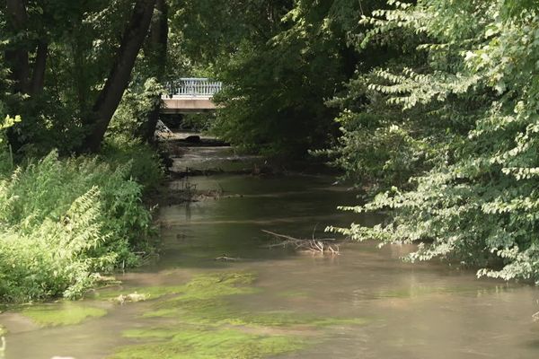 La rivière Brèche, qui coule dans l'Oise, est à un niveau historiquement bas.