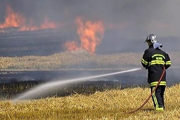  Douze véhicules ainsi que leurs moyens de commandement ont été déployés sur les lieux de l'incendie.