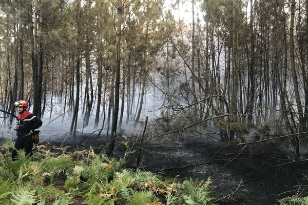 Incendie à Saint-Mars d'Outillé, au sud-est du Mans, 17 septembre 2020