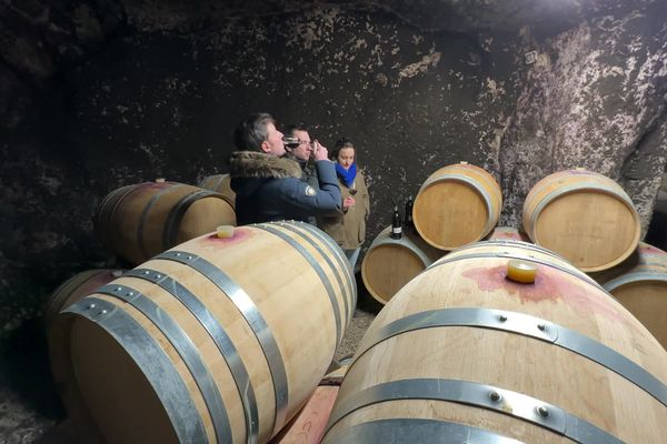 Dans les caves de Cognac