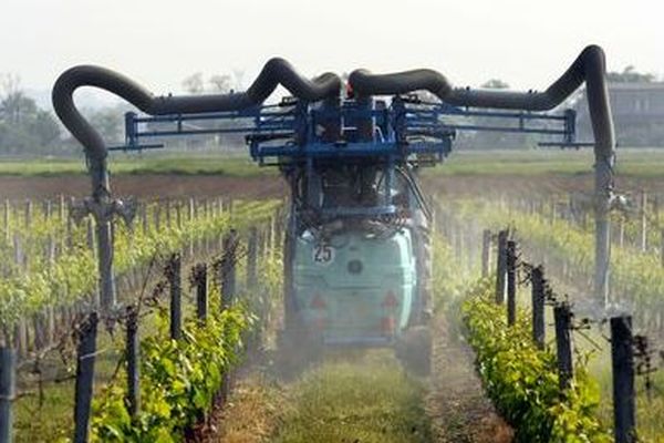 Épandage dans une vigne