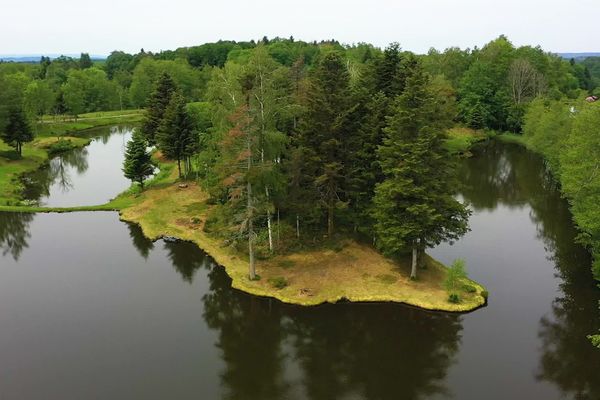 Les paysages des 1000 étangs en Haute-Saône.