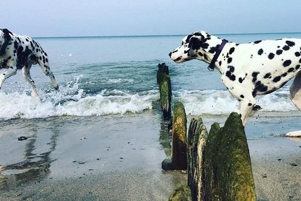 Le dernier bain de mer de la saison était sans doute ce week-end.