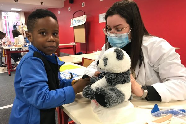 Un petit garçon fait passer son panda en peluche entre les mains expertes (et le stéthoscope) d'une future professionnelle de la santé, à l'Hôpital des nounours.