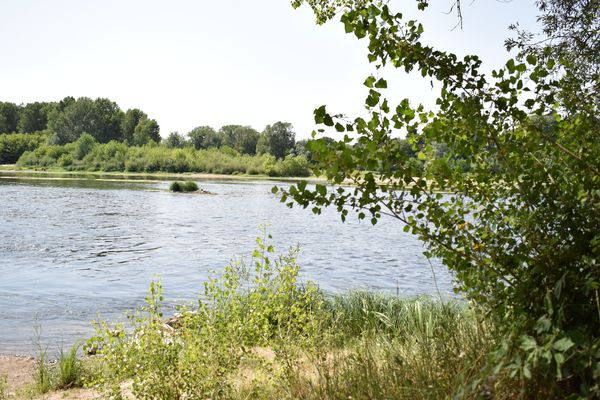 A 20 minutes d'Orléans, la réserve Saint-Mesmin s'étend sur 263 hectares. 