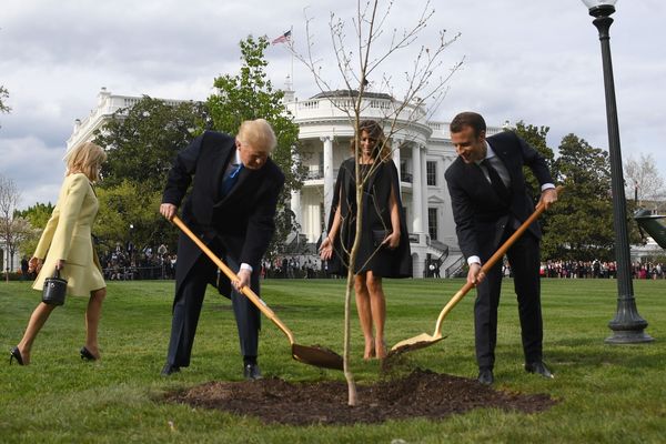 L'arbre, un cadeau diplomatique de la France, provenait des bois Belleau où les forces américaines ont perdu en juin 1918, 9.777 hommes lors de la Première Guerre mondiale.