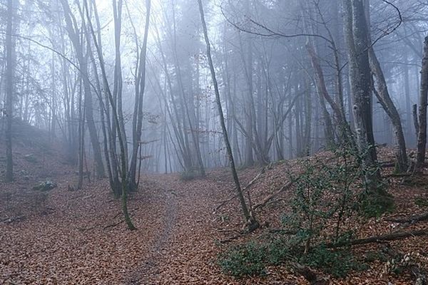 Brumes et brouillards ce mercredi