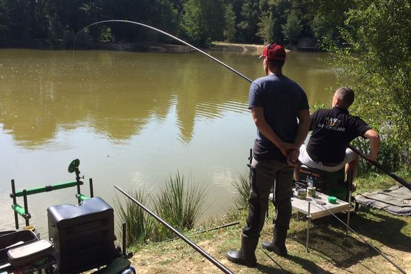 la pêche : une histoire de passion et de détente