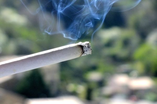 Allumer une cigarette ou un feu de camp en forêt est passible d'une amende de 135 euros