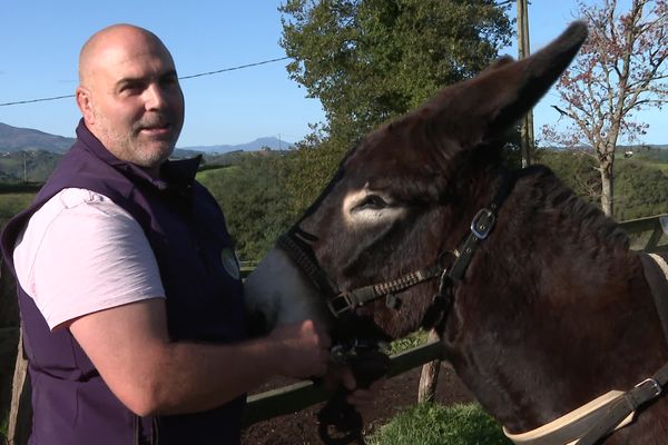 Frédéric et Kalypso, deuxième au concours national.