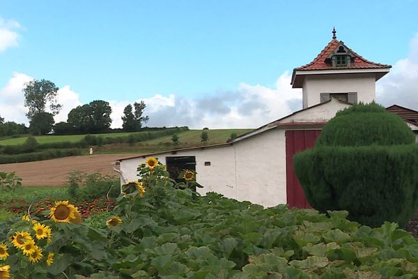 Balades estivales : de Fressin à Vieil-Hesdin.