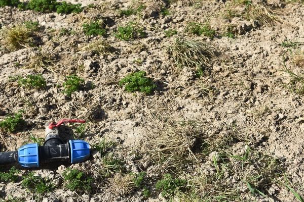 La Vienne a été placé en alerte orange pour la sécheresse.