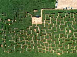 Le parc Pop Corn labyrinthe s'est installé dans un champs de cinq hectares, à Saint-Fuscien, au sud d'Amiens.