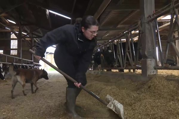 Un agriculteur sur trois proche du burn out