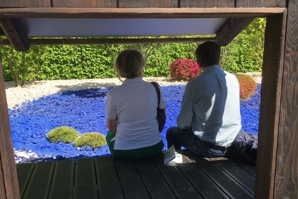 "Le jardin du présent intensément", une invitation à la méditation