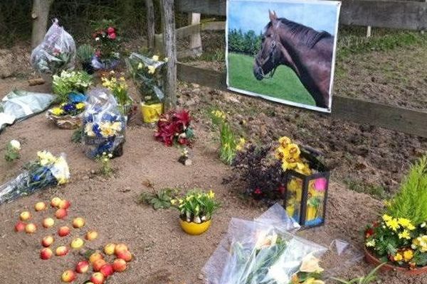 Hommage à Ourasi, 7 avril 2013