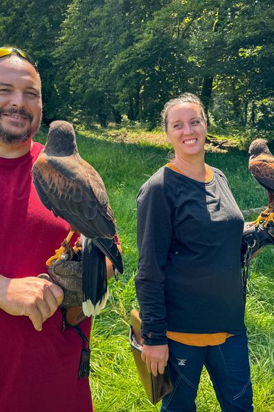 Maud Domingues et Julien Juban fauconniers à la tête d’Échappée Morvan d’Ailes