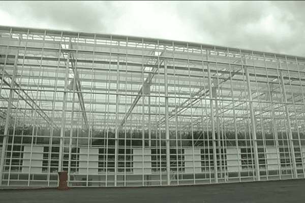 Une cathédrale de verre pour cultiver des tomates.