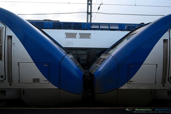 Des trains TER en gare (photo d'illustration)