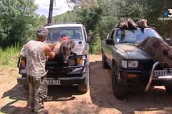 La fédération départementale des chasseurs encourage depuis deux ans les associations à opter pour un nouveau mode de traitement de ces carcasses. 