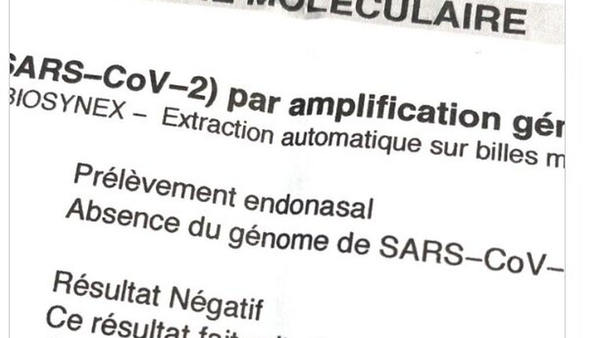 Attestations Retouchees Faux Tests Pcr Le Business Autour Du Covid 19 Prend De L Ampleur En Corse