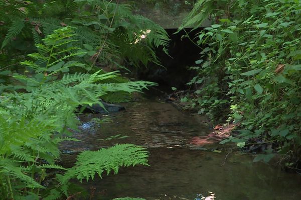 Tous les habitants du Limousin sont invités à signaler les cours d'eau trop bas.