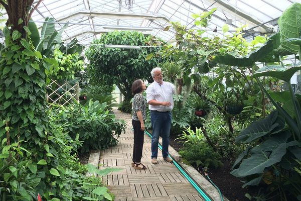 Un jardin botanique de santé