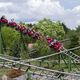 Le Pal est un parc d'attractions et animalier situé près de Moulins, dans l'Allier.