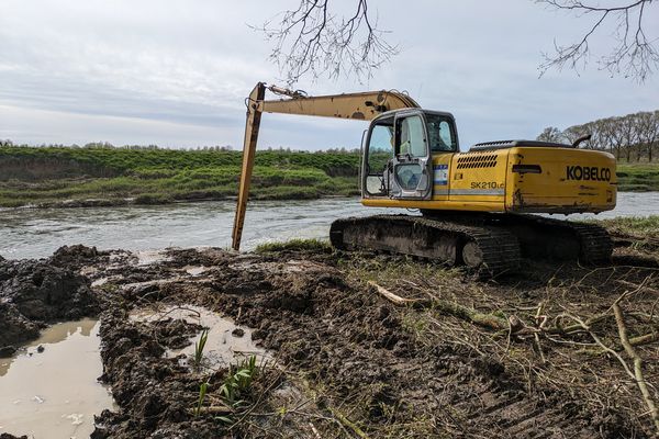 Une pelleteuse effectue des travaux de curage dans la Canche et remonte le limon situé dans le fond du cours d'eau.