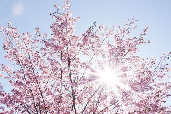 Retour flamboyant du soleil