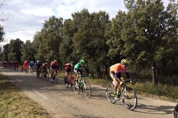  Le leader sylvain Chavanel (dossard 42) en plein effort dans l'étape Tavel-Laudun, quatrième étape de l'étoile de Beéssèges, le 06 février 2016.