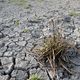 Illustration. Un épisode de sécheresse en 2021, en Corse-du-Sud, avait conduit à des restrictions d'eau.